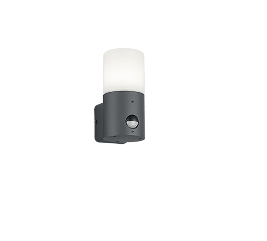 TRIO Wand lamp Hoosic Buitenverlichting