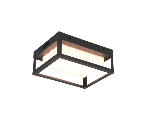 TRIO Wand lamp Witham Buitenverlichting