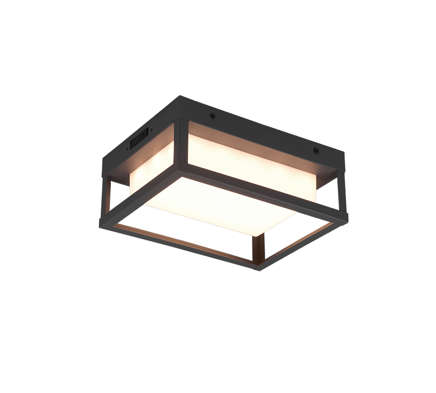 TRIO Wand lamp Witham Buitenverlichting