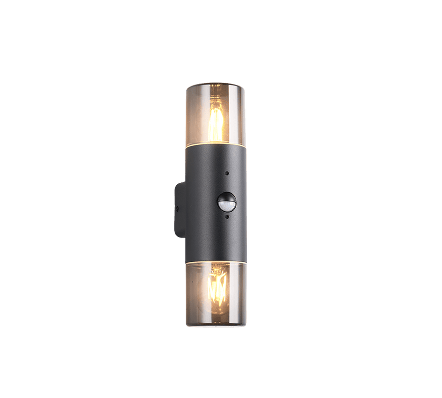TRIO Wand lamp HOOSIC Buitenverlichting