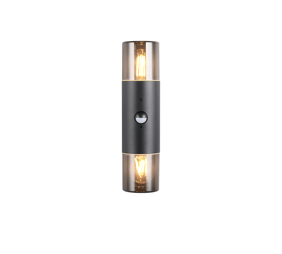TRIO Wand lamp HOOSIC Buitenverlichting