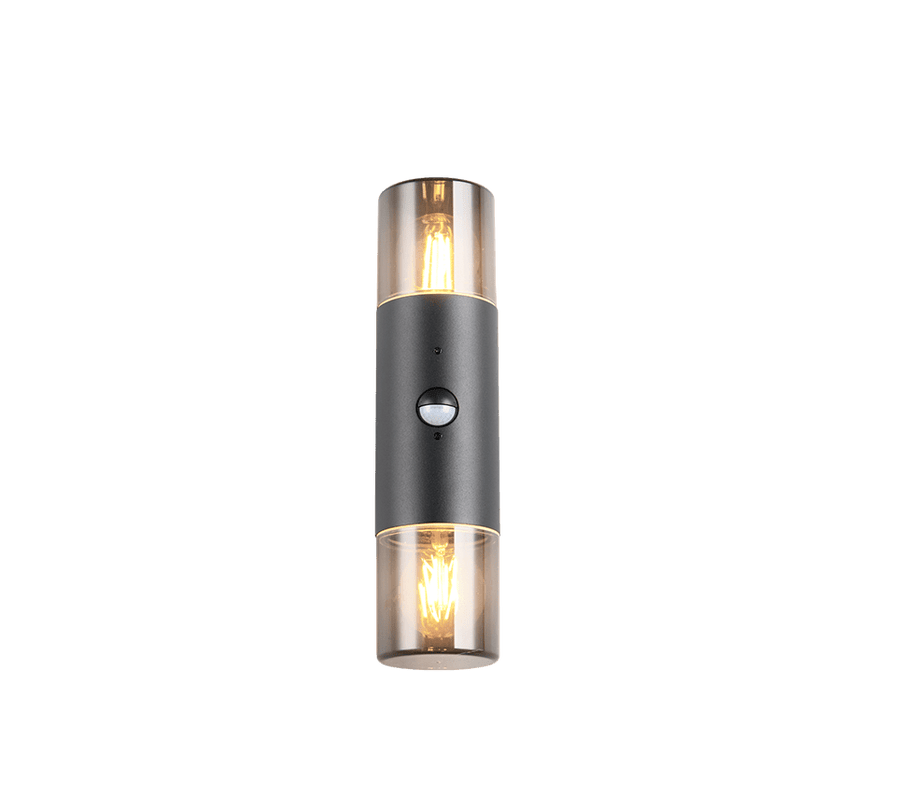 TRIO Wand lamp HOOSIC Buitenverlichting