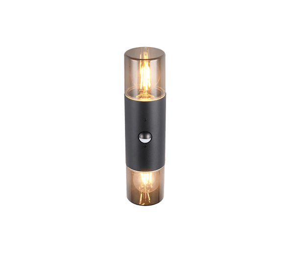TRIO Wand lamp HOOSIC Buitenverlichting