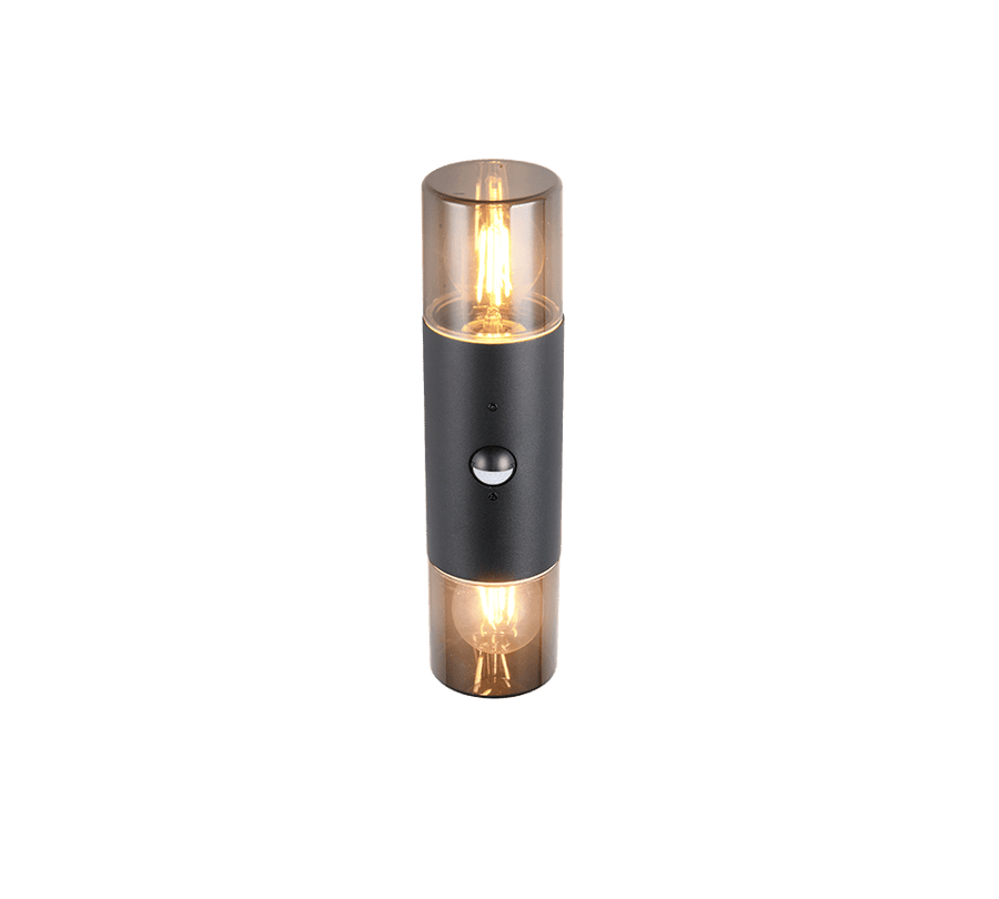 TRIO Wand lamp HOOSIC Buitenverlichting