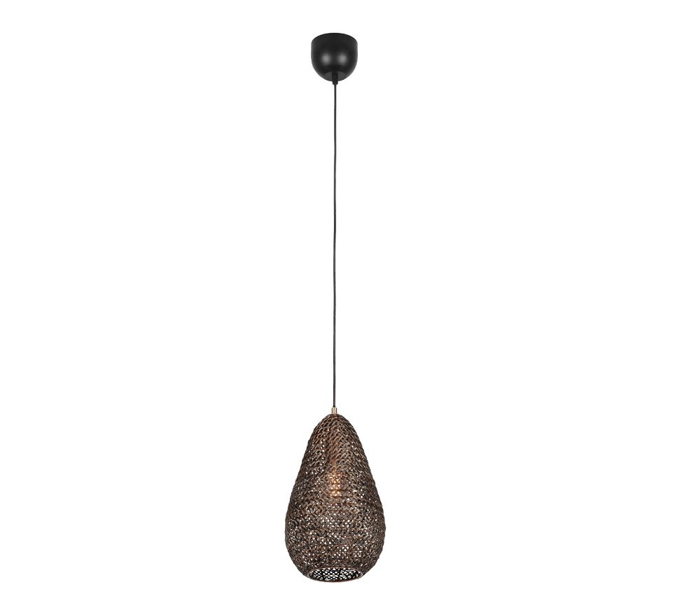 TRIO Hanglamp Ziva