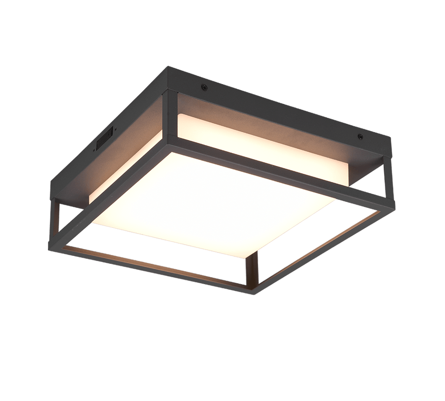 TRIO Plafonniere Witham Buitenverlichting
