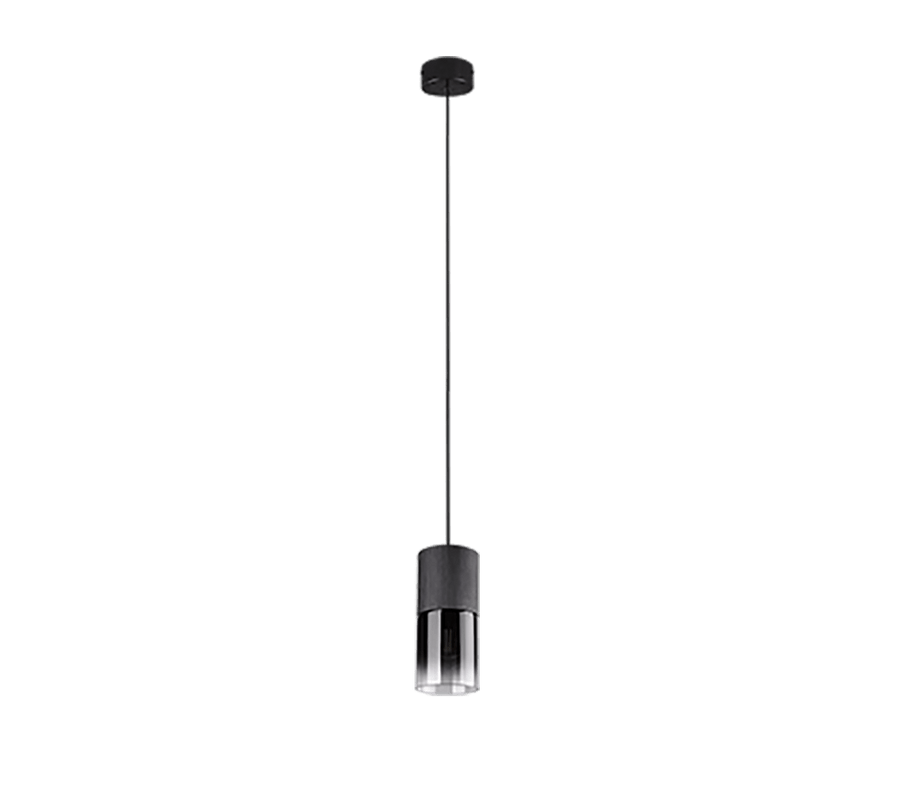 TRIO Hanglamp ROBIN