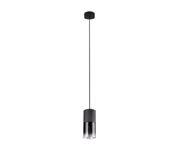 TRIO Hanglamp ROBIN