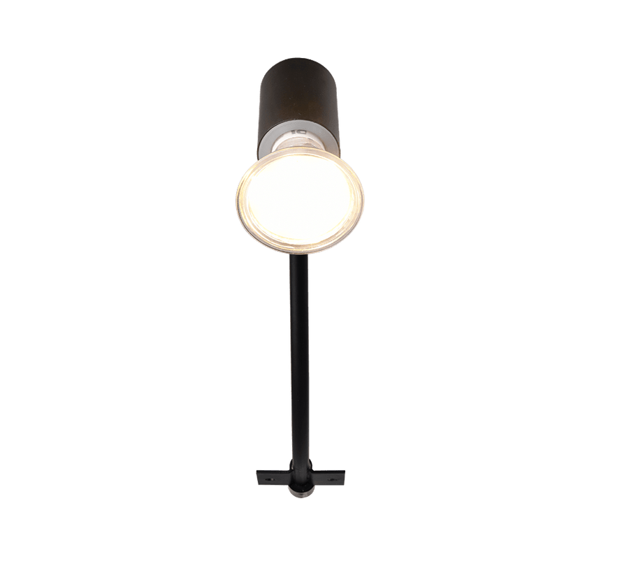 TRIO Wandlamp GIADA