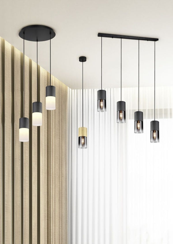 TRIO Hanglamp Robin