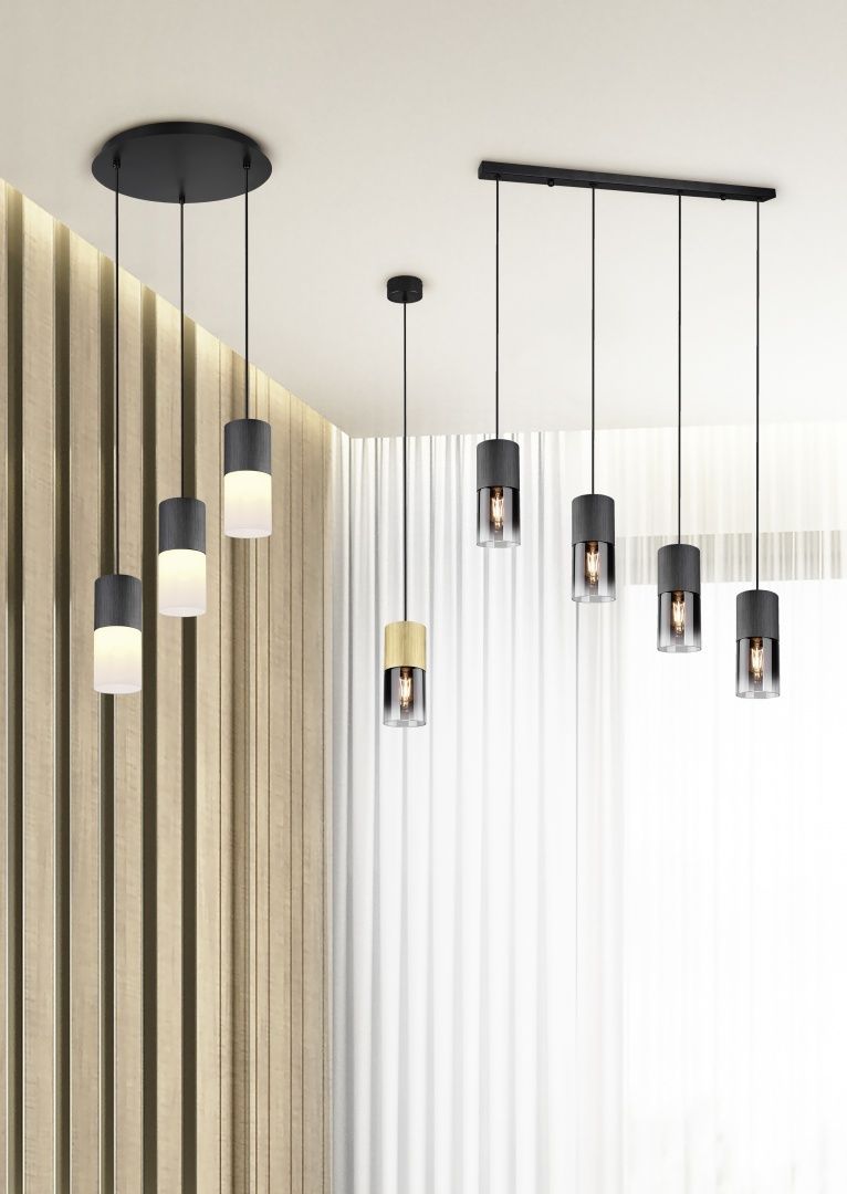 TRIO Hanglamp Robin