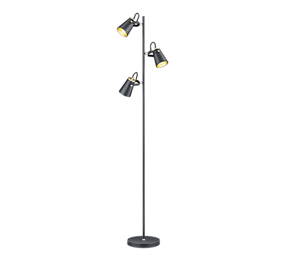TRIO Vloerlamp EDWARD