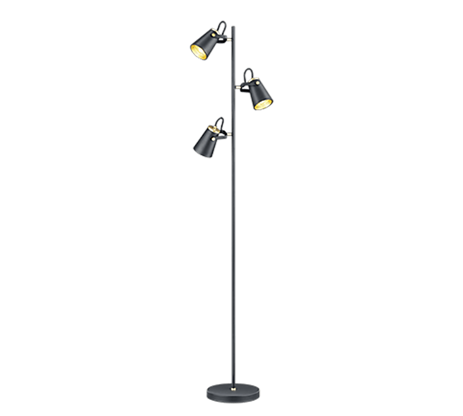 TRIO Vloerlamp EDWARD