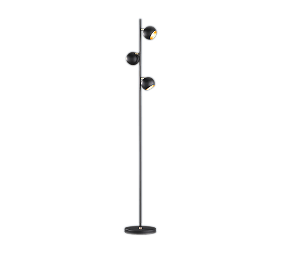 TRIO Vloerlamp Dakota