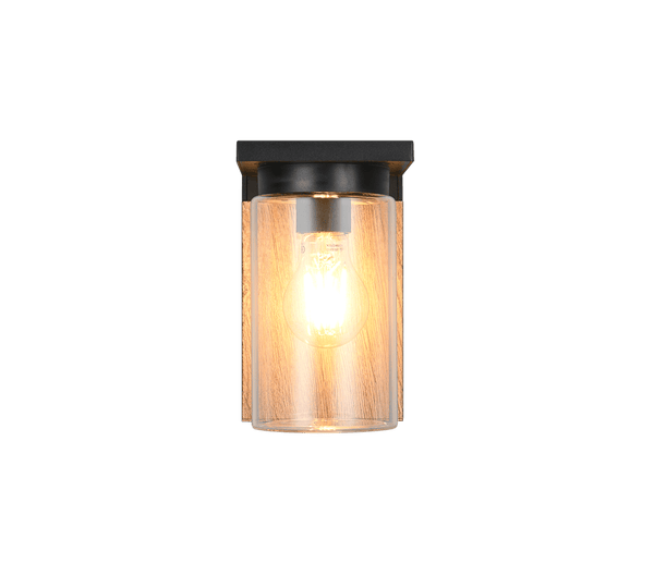 TRIO Wand lamp ARDILA Buitenverlichting