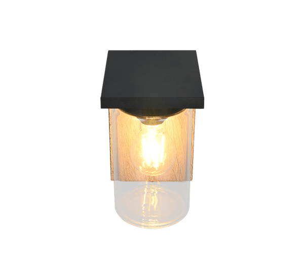 TRIO Wand lamp ARDILA Buitenverlichting