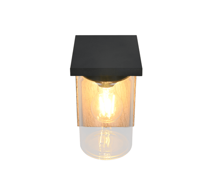 TRIO Wand lamp ARDILA Buitenverlichting