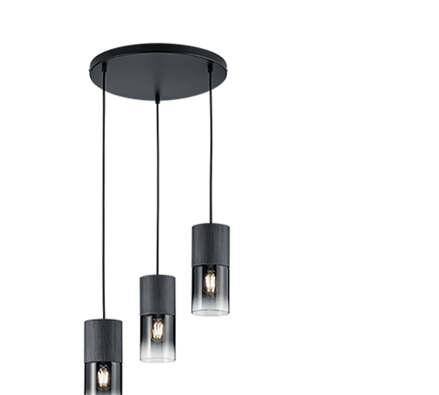 TRIO Hanglamp ROBIN