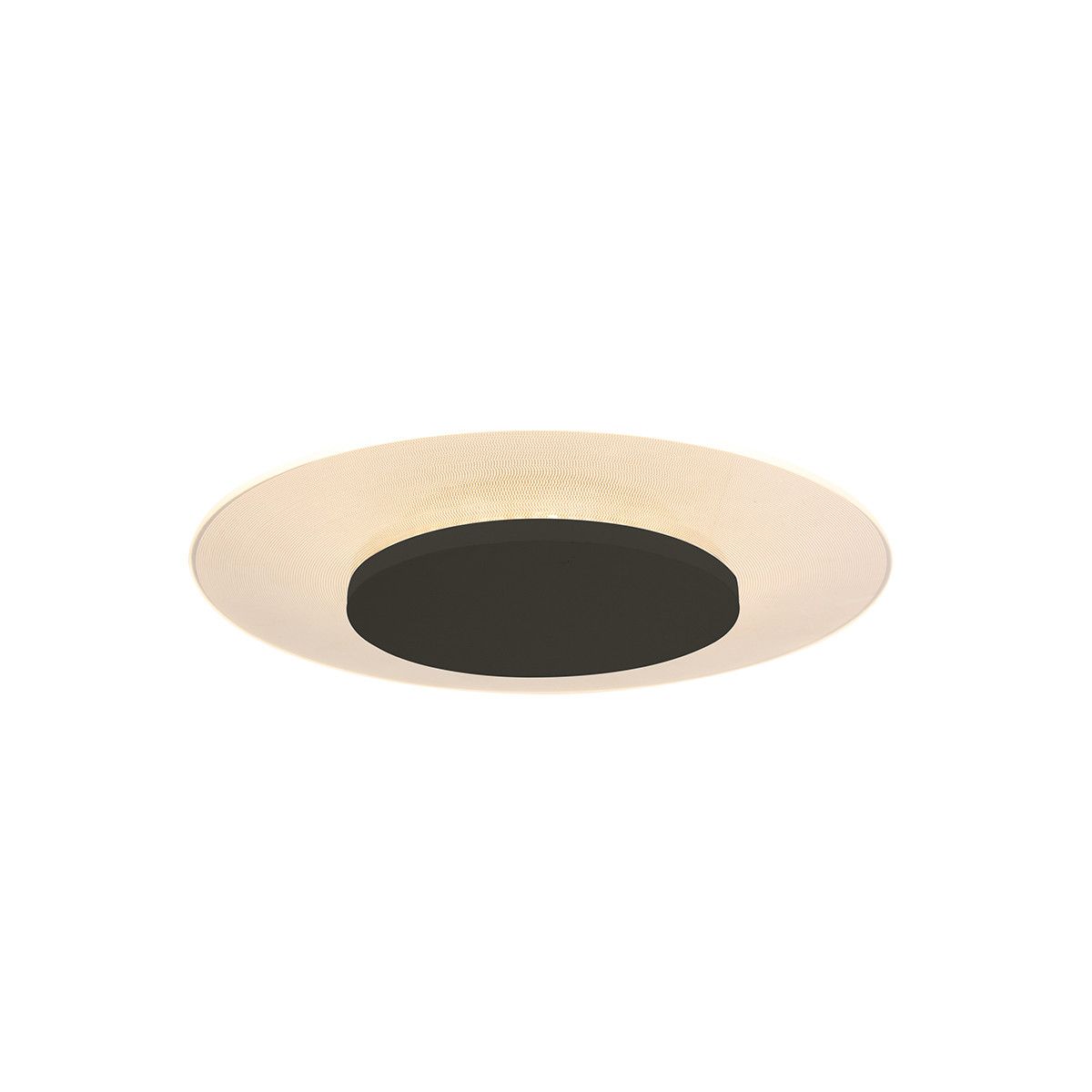 Plafondlamp Ceiling & Wall 7797ZW Zwart