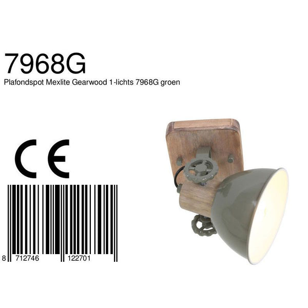 Plafondlamp Gearwood 7968G Groen
