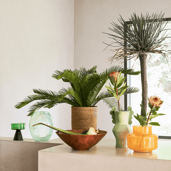 Vaas Circulo Pale Green