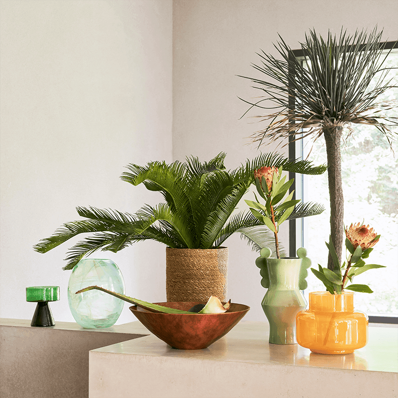 Vaas Circulo Pale Green
