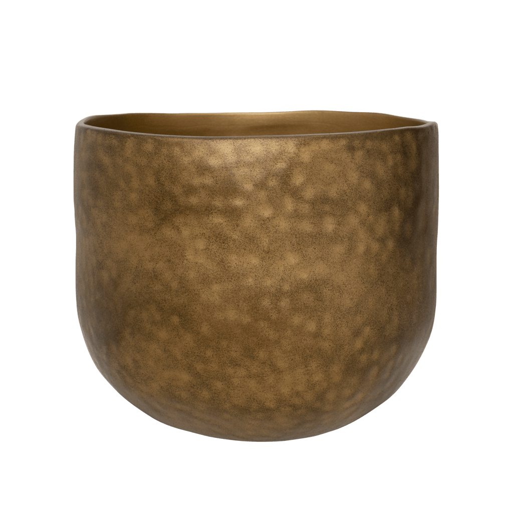 Pot Oro, L
