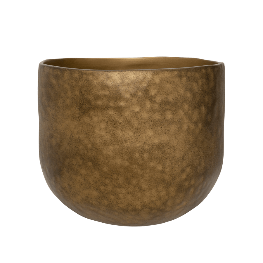 Pot Oro, L
