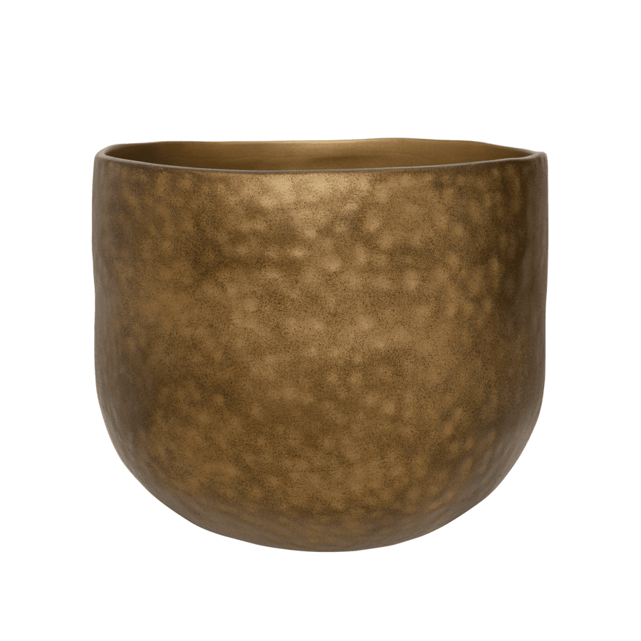 Pot Oro, L