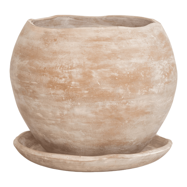 Pot Terra