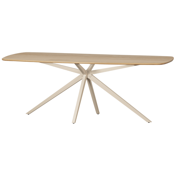 TABLO EETTAFEL DEENS OVAAL VJ 220x100 CM TRANSPARANT [fsc]