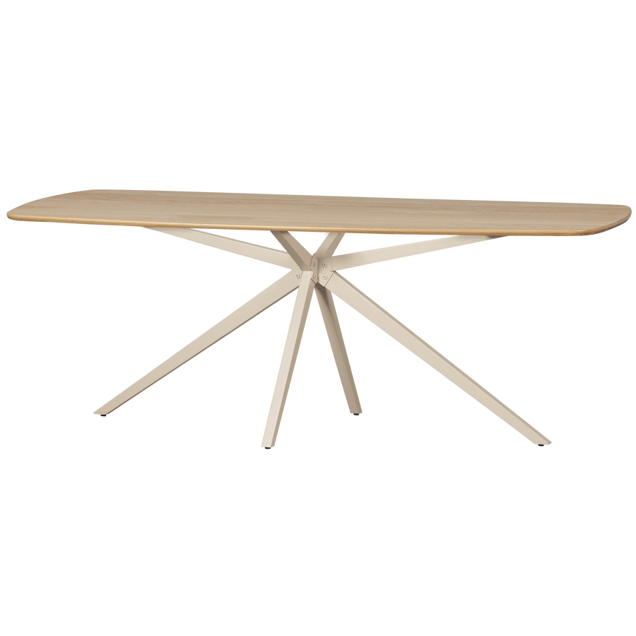 TABLO EETTAFEL DEENS OVAAL VJ 220x100 CM TRANSPARANT [fsc]