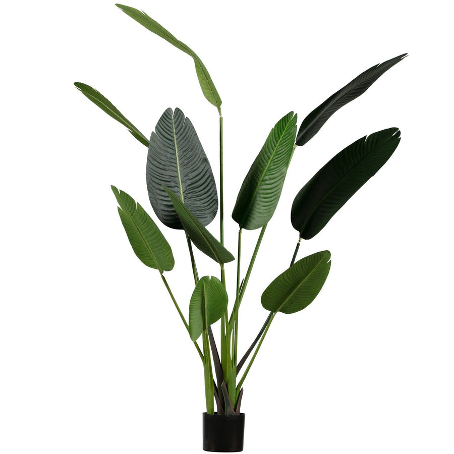 STRELITZIA KUNSTPLANT GROEN 164 CM (set of 4)