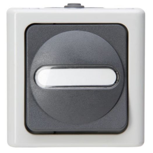 Blue Electric wisselschakelaar IP44 grijs