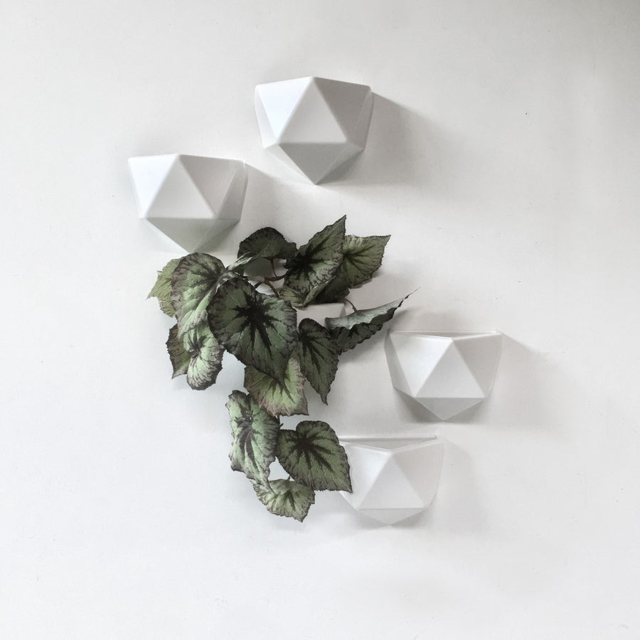 Wandbakje magnetisch wit