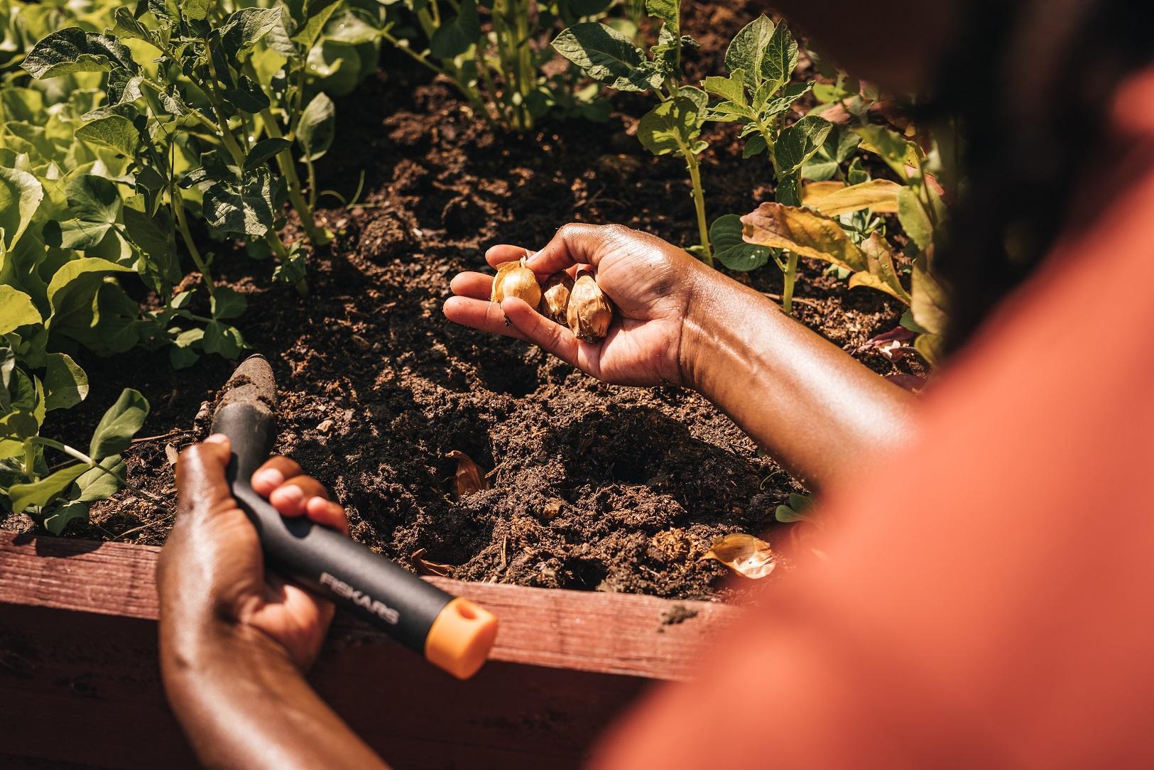 Moestuin aanleggen