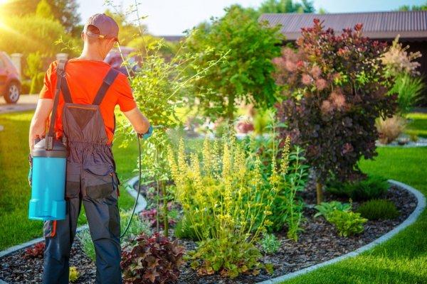 Hoe houd je ongedierte uit de tuin?