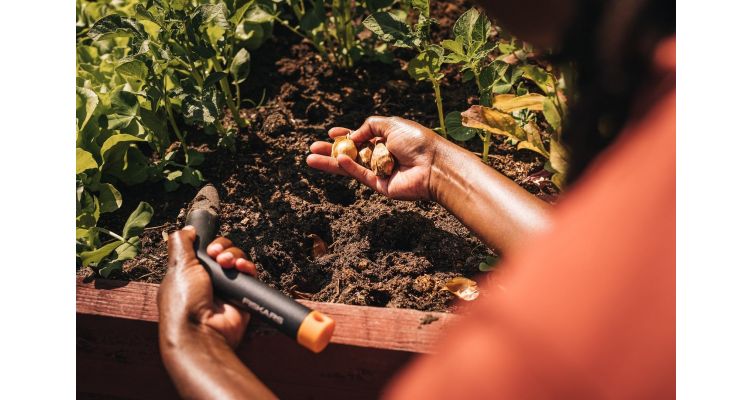 Moestuin aanleggen
