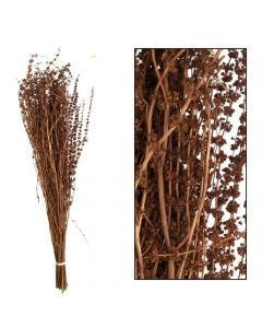 Palma grass 50-65cm 100gr Natural
