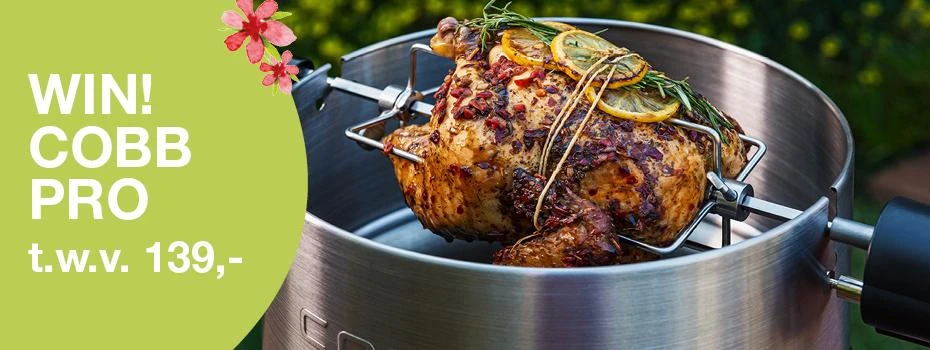 Houtskoolbarbecues Houtskoolbarbecues