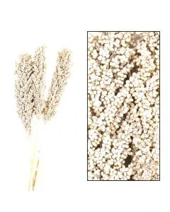 Indian corn 70cm 3pc poly White-wash