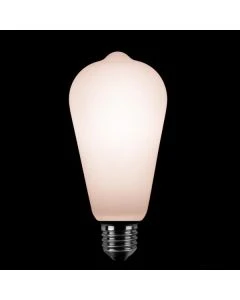 Lichtbron Edison LED