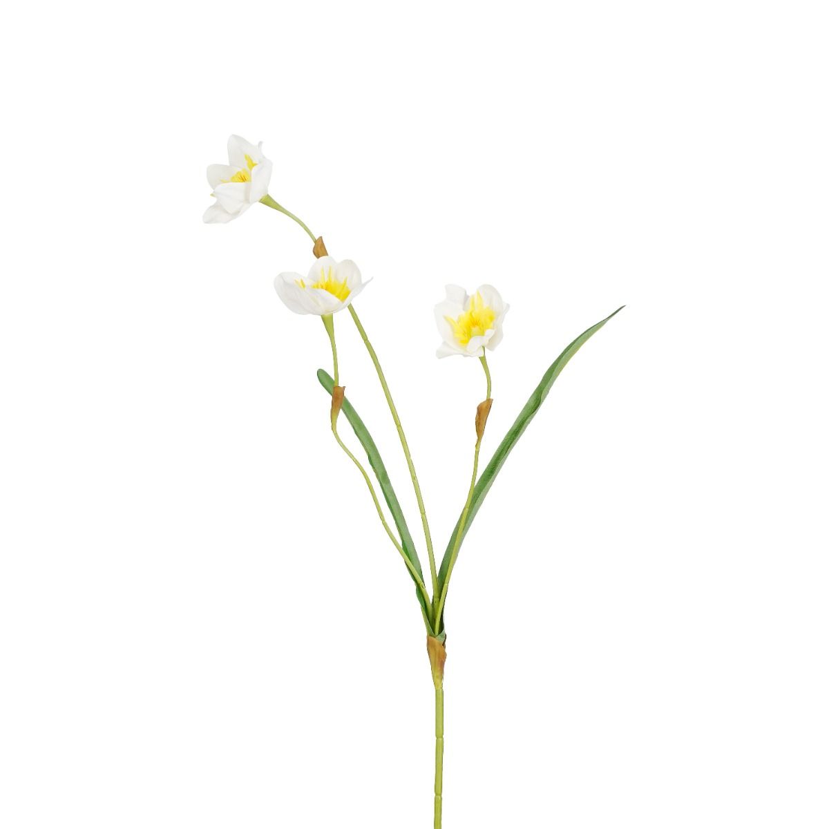 Kunsttak Narcis wit/geel 57 cm