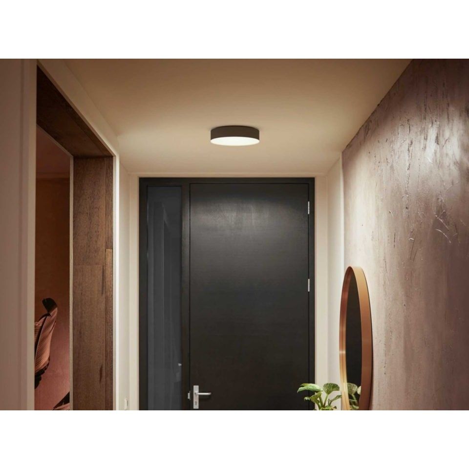 Philips Hue Enrave kleine plafondlamp met Dimmer Switch zwart