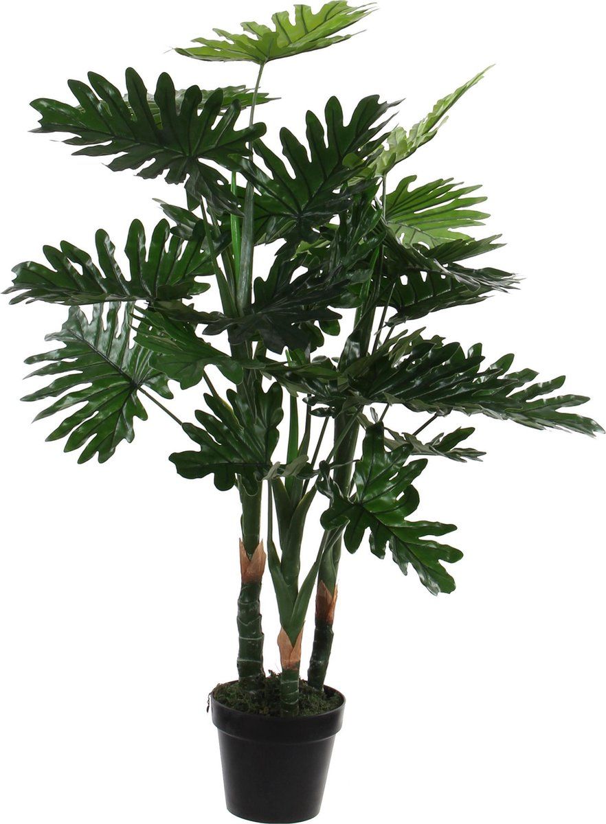 Philodendron in plastic pot groen - h100xd70cm