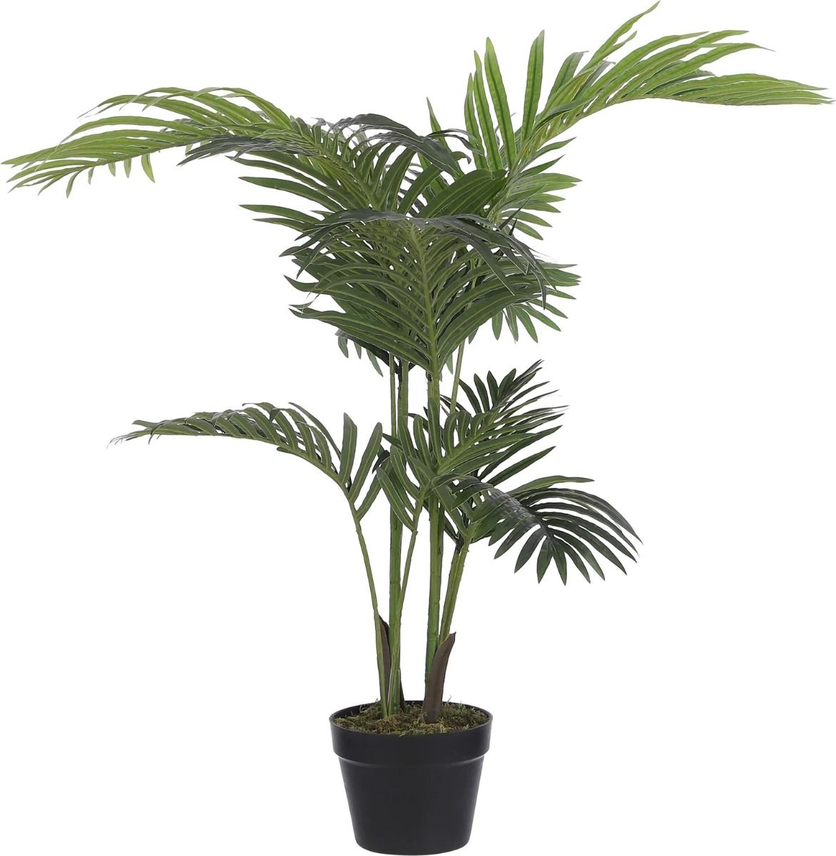 Areca palm in pot groen - h100xd70cm