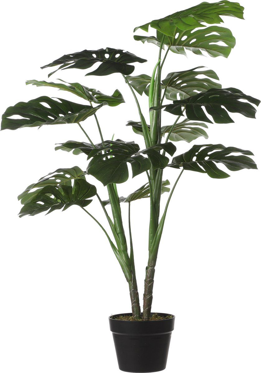 Monstera in pot groen - h100xd70cm