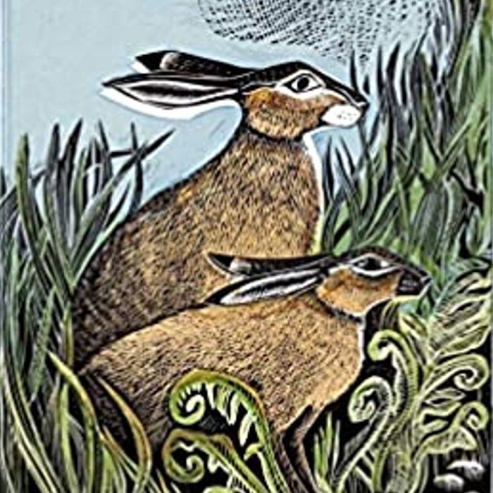 Notitieboekje Rathlin Hares