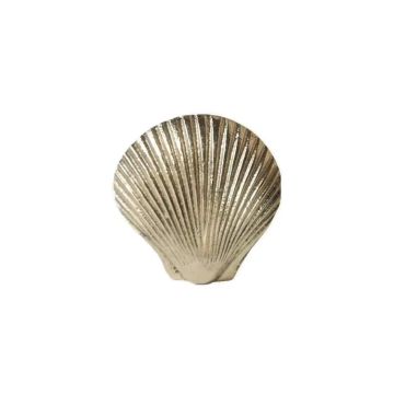Deurknop Abby Shell