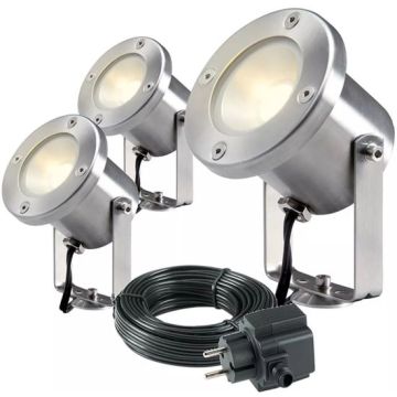 Spot Catalpa (set van 2)